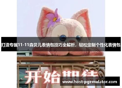 打造专属11-11森贝儿表情包技巧全解析,轻松定制个性化表情包
