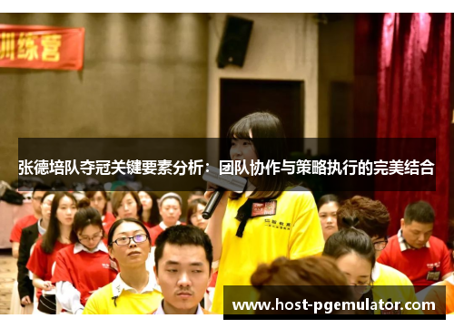 张德培队夺冠关键要素分析:团队协作与策略执行的完美结合