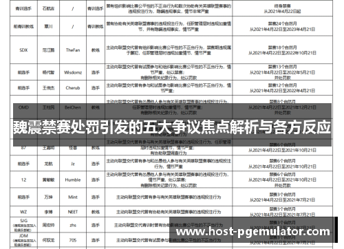 魏震禁赛处罚引发的五大争议焦点解析与各方反应