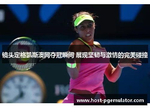 镜头定格凯斯澳网夺冠瞬间 展现坚韧与激情的完美碰撞