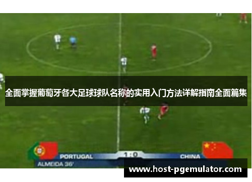 全面掌握葡萄牙各大足球球队名称的实用入门方法详解指南全面篇集 全面掌握葡萄牙各大足球球队名称的实用入门方法详解指南全面篇集