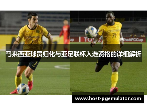 马来西亚球员归化与亚足联杯入选资格的详细解析