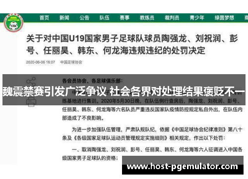魏震禁赛引发广泛争议 社会各界对处理结果褒贬不一