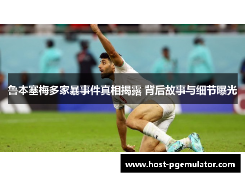 鲁本塞梅多家暴事件真相揭露 背后故事与细节曝光