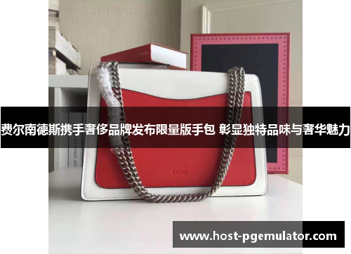 费尔南德斯携手奢侈品牌发布限量版手包 彰显独特品味与奢华魅力